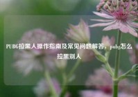 PUBG拉黑人操作指南及常见问题解答，pubg怎么拉黑别人