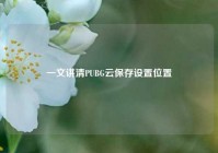 一文讲清PUBG云保存设置位置