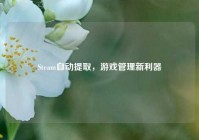 Steam自动提取，游戏管理新利器