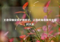 王者荣耀皮肤护理教学，让游戏角色焕发光彩的大全