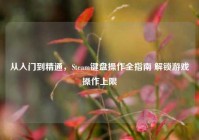 从入门到精通，Steam键盘操作全指南 解锁游戏操作上限