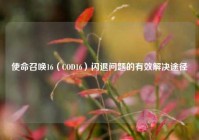 使命召唤16（COD16）闪退问题的有效解决途径