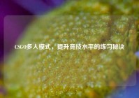 CSGO多人模式，提升竞技水平的练习秘诀