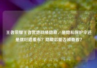 王者荣耀王者营地战绩隐藏，是隐私保护伞还是摆烂遮羞布？隐藏后能否被查看？