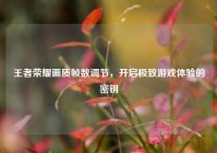 王者荣耀画质帧数调节，开启极致游戏体验的密钥