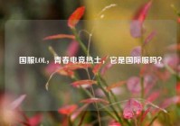 国服LOL，青春电竞热土，它是国际服吗？