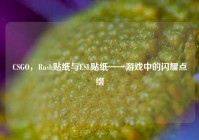 CSGO，Rush贴纸与ESL贴纸——游戏中的闪耀点缀