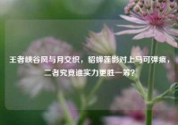王者峡谷风与月交织，貂蝉莲影对上马可弹痕，二者究竟谁实力更胜一筹？
