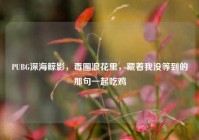 PUBG深海鲸影，毒圈浪花里，藏着我没等到的那句一起吃鸡