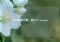 CSGO闪耀之星，挺ly79丶cncsgouu