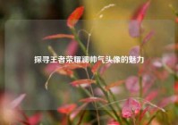 探寻王者荣耀澜帅气头像的魅力