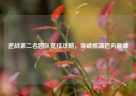 逆战第二名团队竞技攻略，突破瓶颈迈向巅峰