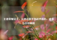 王者荣耀法王，从峡谷新手到战术核心，成名与否待揭晓