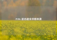 PUBG 起名超全攻略来袭