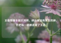 王者荣耀全能王阿舜，峡谷里没有天生的神，他把每一路都走成了主场