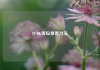 PUBG等级查看方法