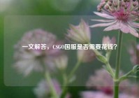 一文解答，CSGO国服是否需要花钱？
