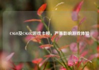 CSGO及CSGO2游戏卡顿，严重影响游戏体验