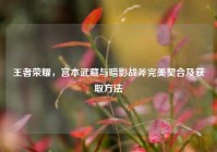 王者荣耀，宫本武藏与暗影战斧完美契合及获取方法