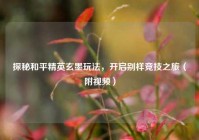 探秘和平精英玄墨玩法，开启别样竞技之旅（附视频）