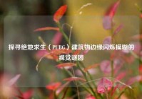 探寻绝地求生（PUBG）建筑物边缘闪烁模糊的视觉谜团