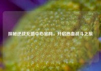 探秘逆战充值中心官网，开启热血战斗之旅