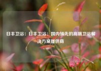 日丰卫浴：日丰卫浴：国内领先的高端卫浴解决方案提供商