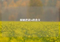 探秘逆战56的含义