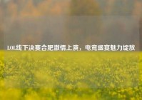 LOL线下决赛合肥激情上演，电竞盛宴魅力绽放