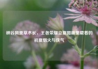 峡谷风熏草木长，王者荣耀立夏图画里藏着的初夏烟火与侠气