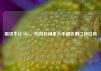 黑银牛CF Mini，时尚长河里永不褪色的口袋经典