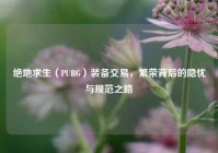 绝地求生（PUBG）装备交易，繁荣背后的隐忧与规范之路