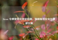 Steam 令牌使用及绑定指南，保障账号安全与便捷交易