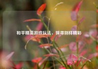 和平精英游戏玩法，探寻别样精彩