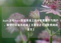 "王号"智能系统上线半年覆盖千万用户，重塑行业服务格局（王晨李正小说免费阅读全文）