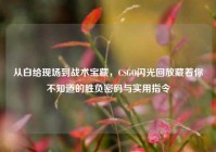 从白给现场到战术宝藏，CSGO闪光回放藏着你不知道的胜负密码与实用指令