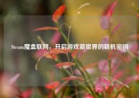 Steam魔盒联网，开启游戏新世界的联机密钥