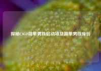 探秘CSGO简单男孩启动项及简单男孩身份