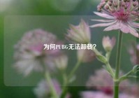 为何PUBG无法卸载？