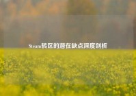 Steam转区的潜在缺点深度剖析