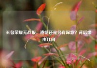 王者荣耀无战报，遗憾还是另有深意？背后缘由几何