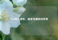 CSGO单人单机，畅享专属枪战世界