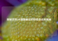 探秘支持LOL韩国解说的软件及名称揭秘