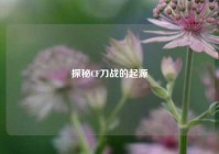 探秘CF刀战的起源