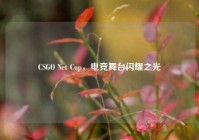 CSGO Net Cup，电竞舞台闪耀之光