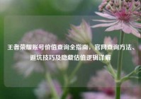 王者荣耀账号价值查询全指南，官网查询方法、避坑技巧及隐藏估值逻辑详解