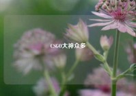 CSGO大神众多