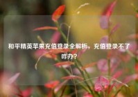 和平精英苹果充值登录全解析，充值登录不了咋办？