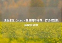 绝地求生（PUBG）画质调节推荐，打造极致战场视觉体验