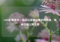 CSGO扩展库存，满足玩家藏品需求的关键，突破存储上限之举